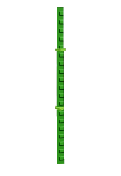 Bamboo